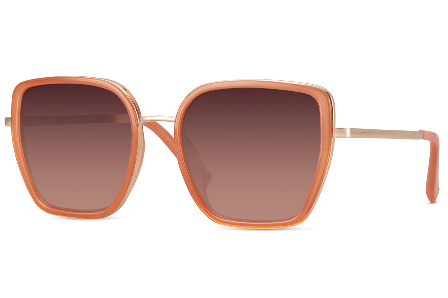 Midnight Bold Cateye Sunglasses