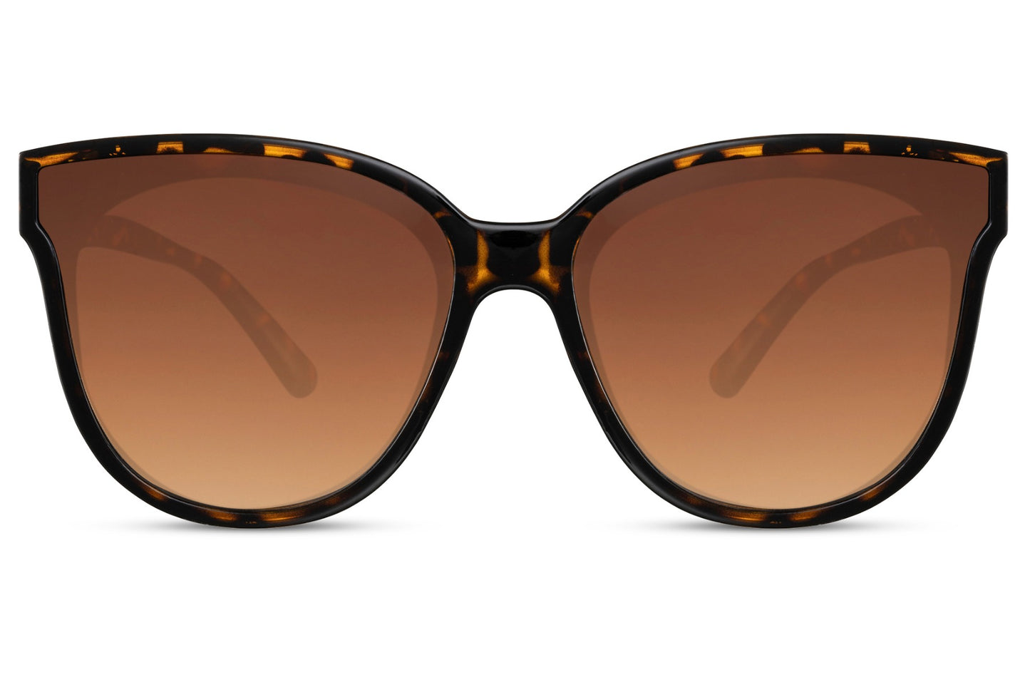 Black Oversized Sunglasses