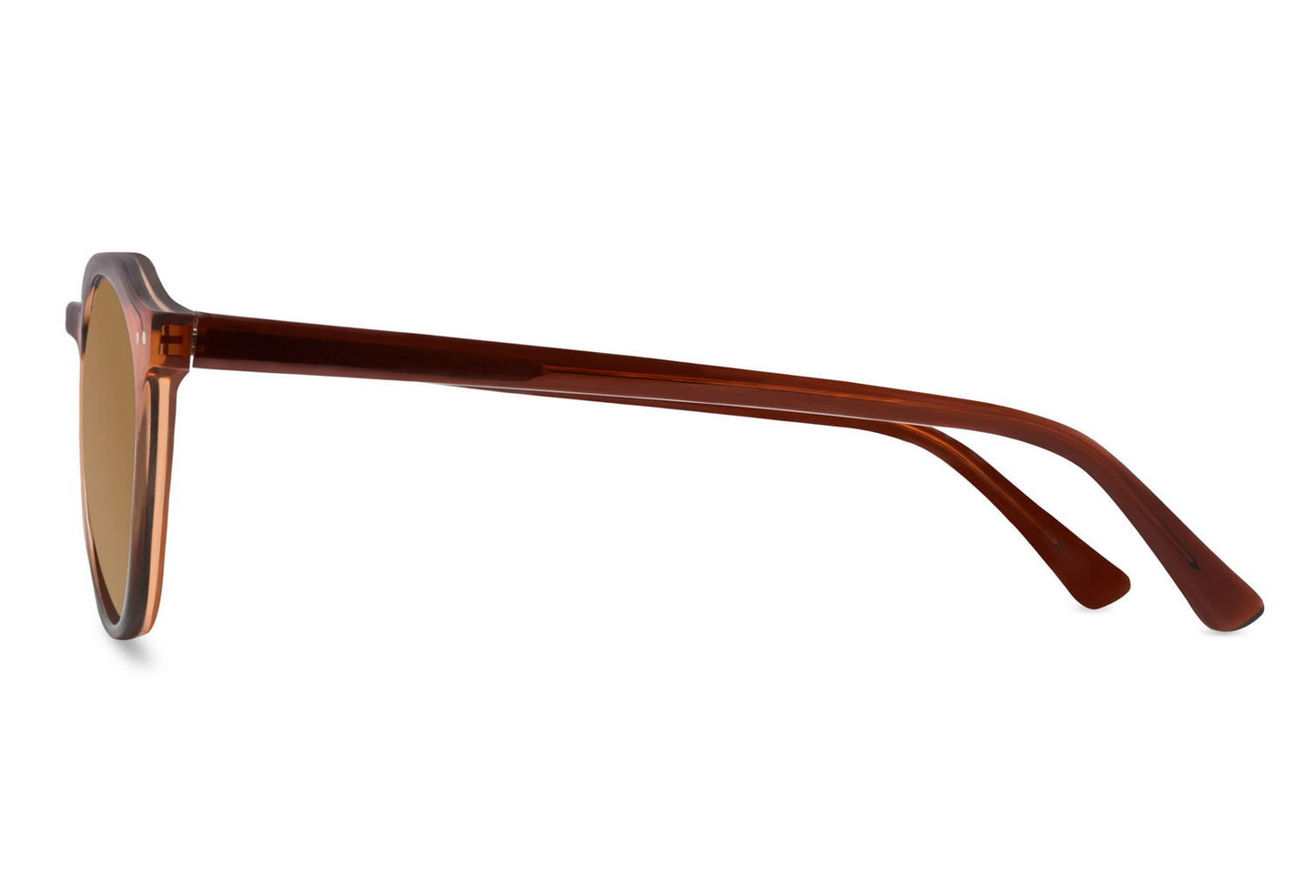 Brown Geometric Round Sunglass