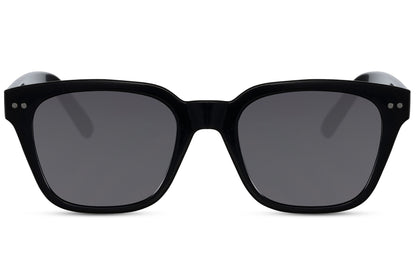 Wayfarer Sunglasses