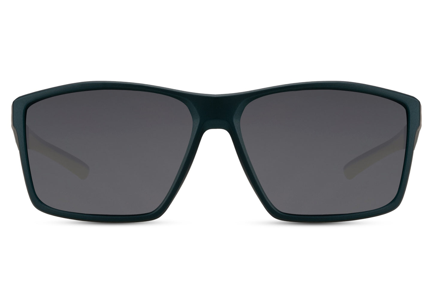 Wayfarer Sunglasses