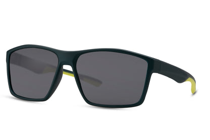 Wayfarer Sunglasses