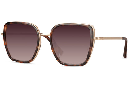 Midnight Bold Cateye Sunglasses