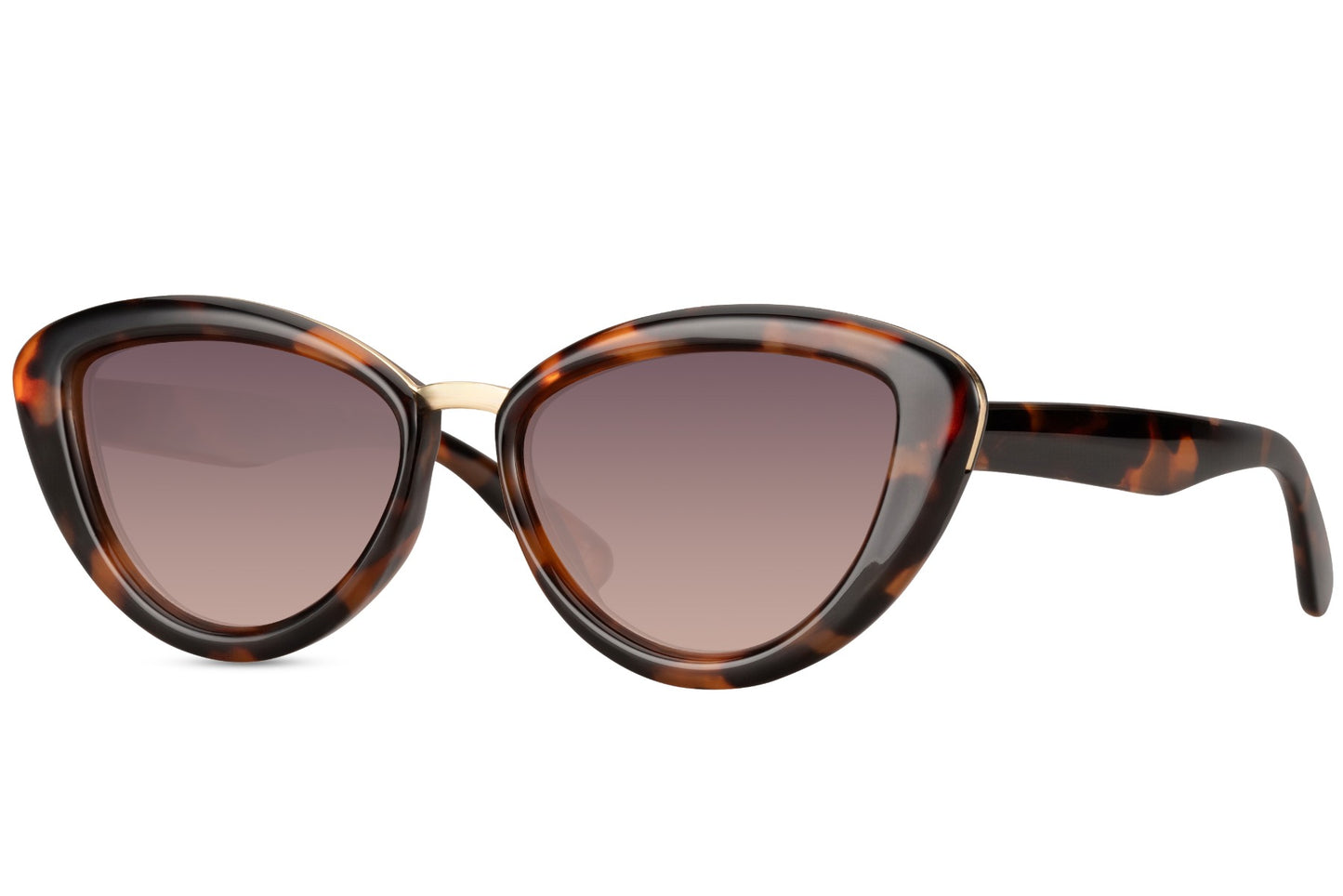 Chunky Cat-eye Sunglasses