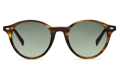 Classic Round Bold Sunglasses
