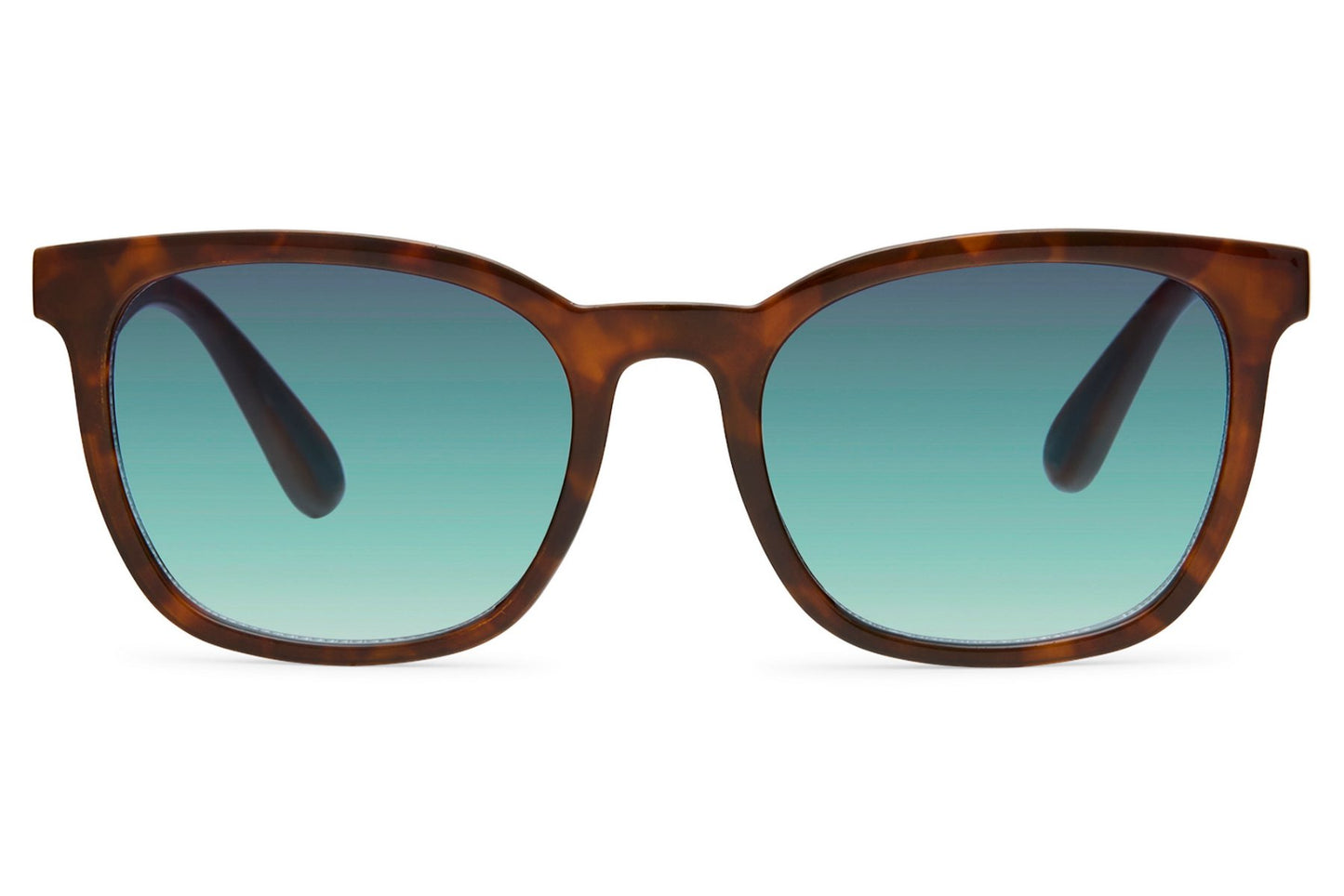 Classic Wayfarer Tinted Sunglasses