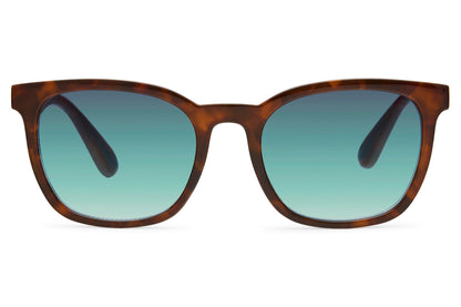 Classic Wayfarer Tinted Sunglasses