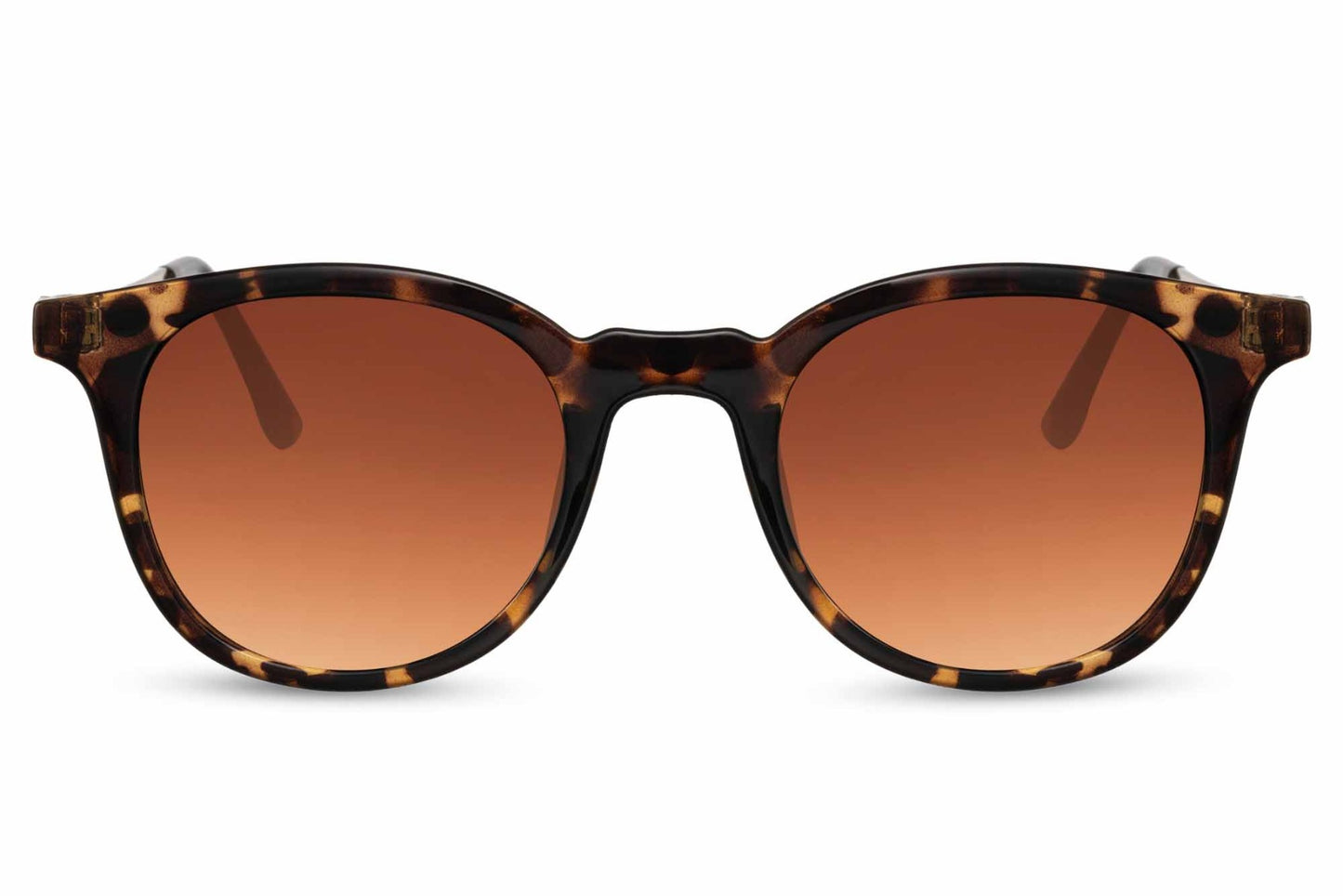 Wayfarer Sunglasses for Men and Women