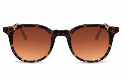 Wayfarer Sunglasses for Men and Women