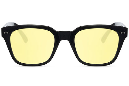 Wayfarer Sunglasses