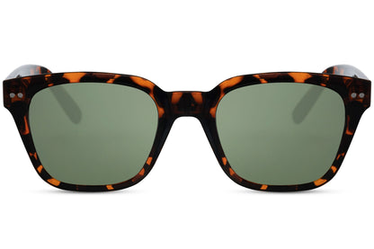 Wayfarer Sunglasses