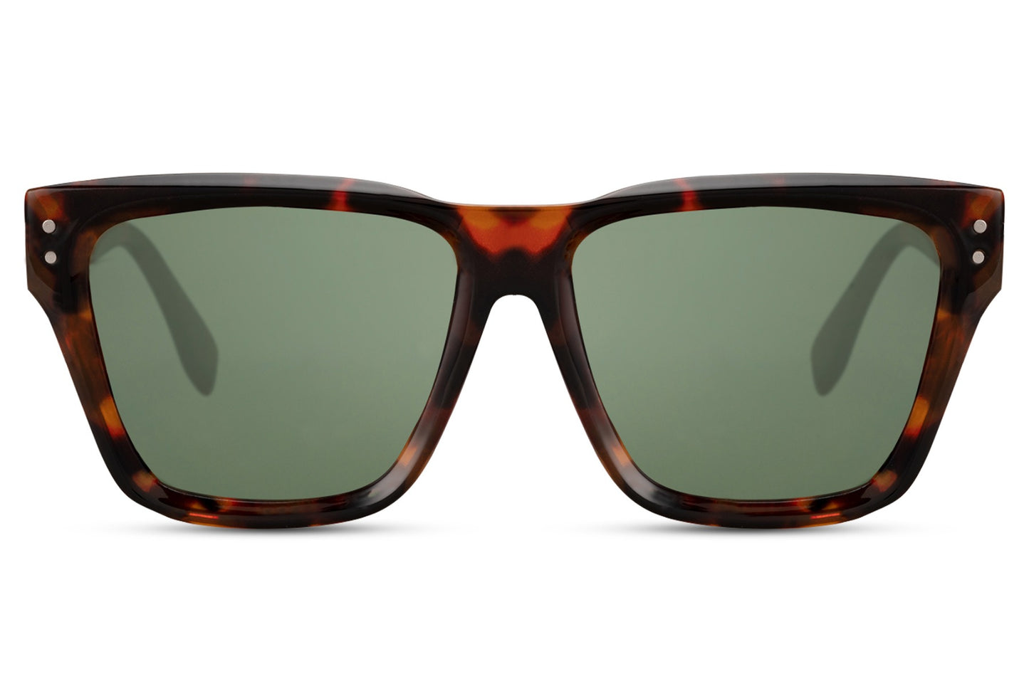 Wayfarer Sunglasses