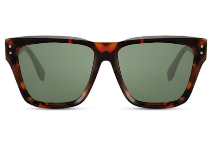 Wayfarer Sunglasses