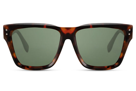 Wayfarer Sunglasses