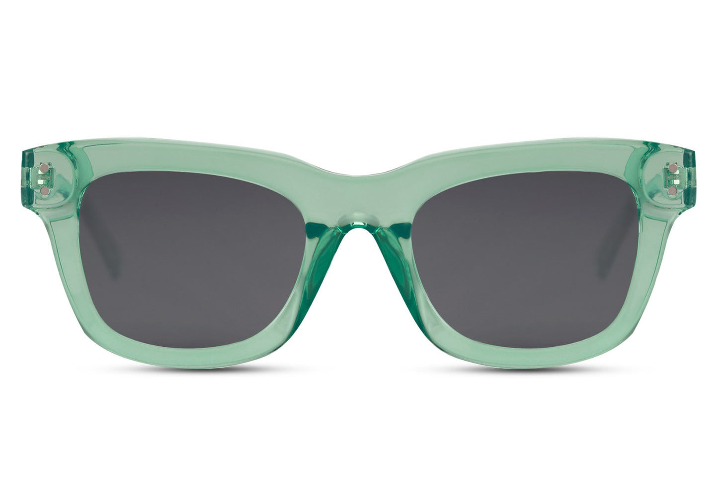 Wayfarer Sunglasses