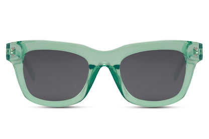 Wayfarer Sunglasses