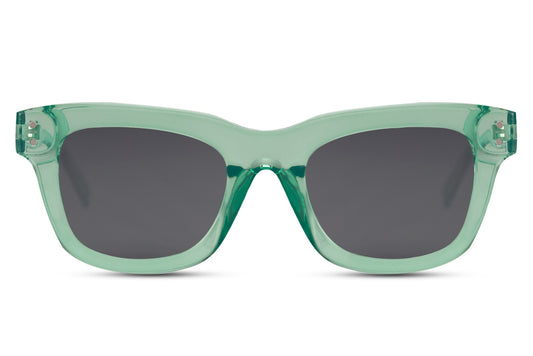 Wayfarer Sunglasses