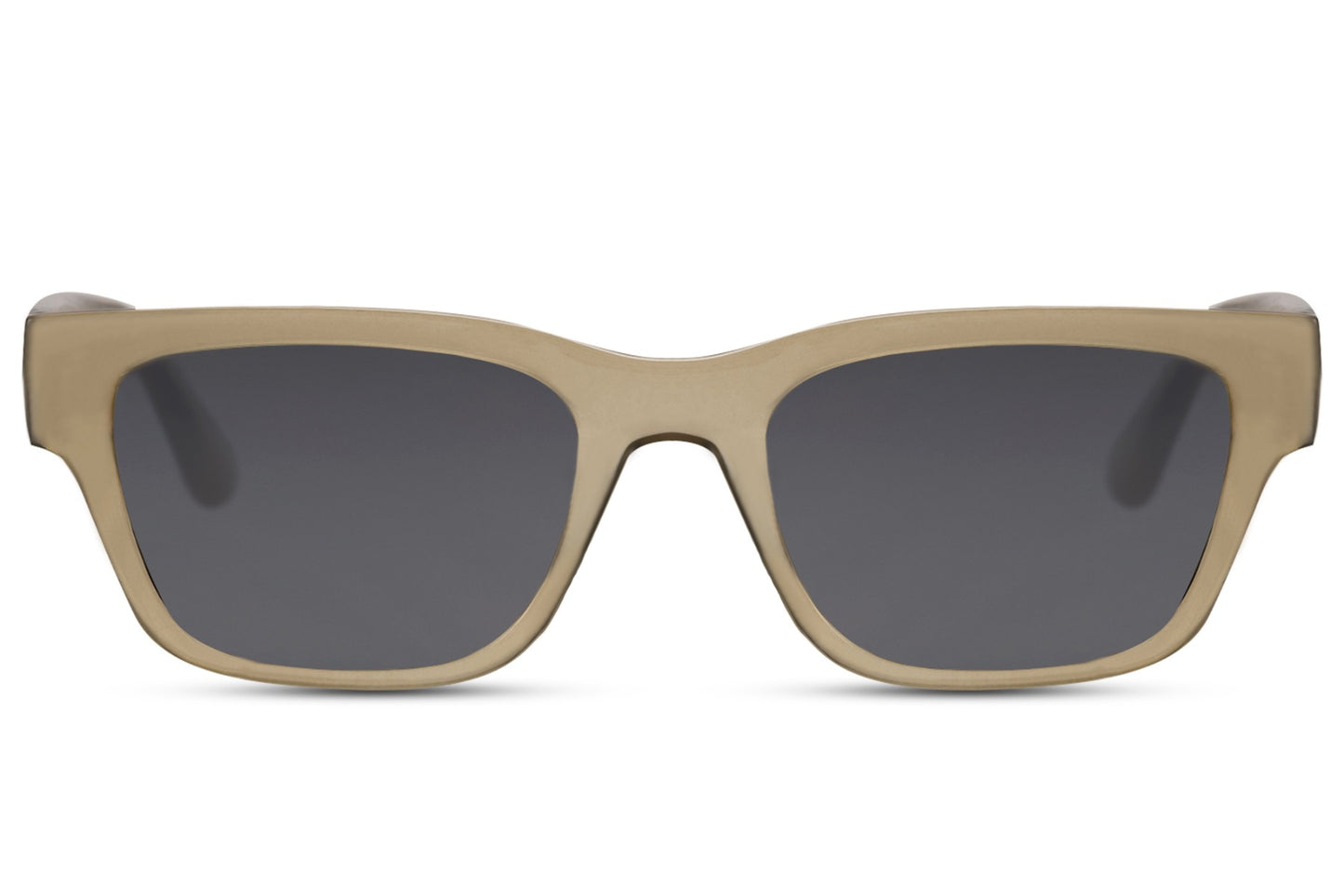 Wayfarer Sunglasses