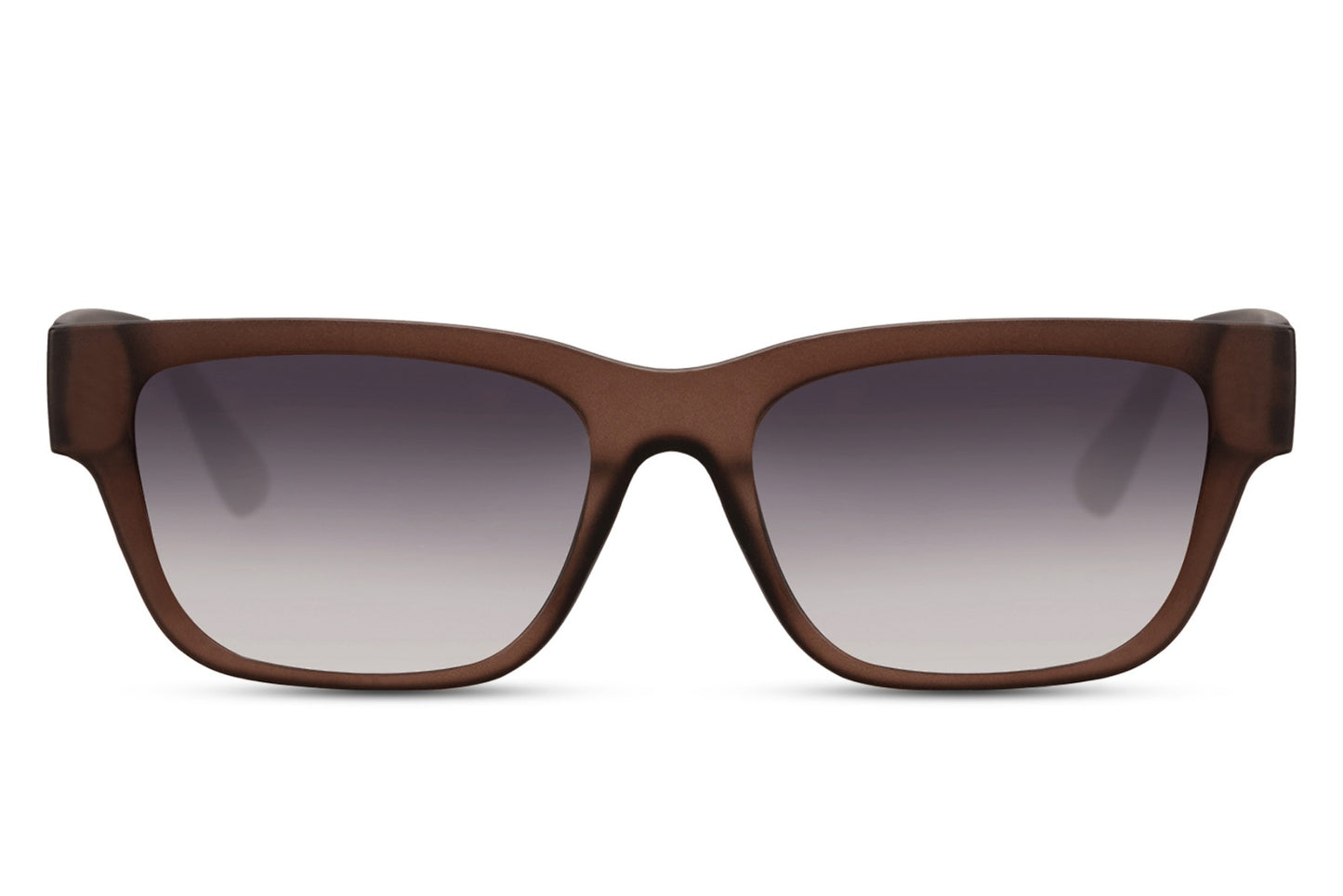 Wayfarer Sunglasses