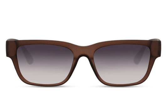 Wayfarer Sunglasses