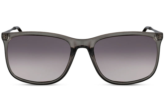 Wayfarer Sunglasses