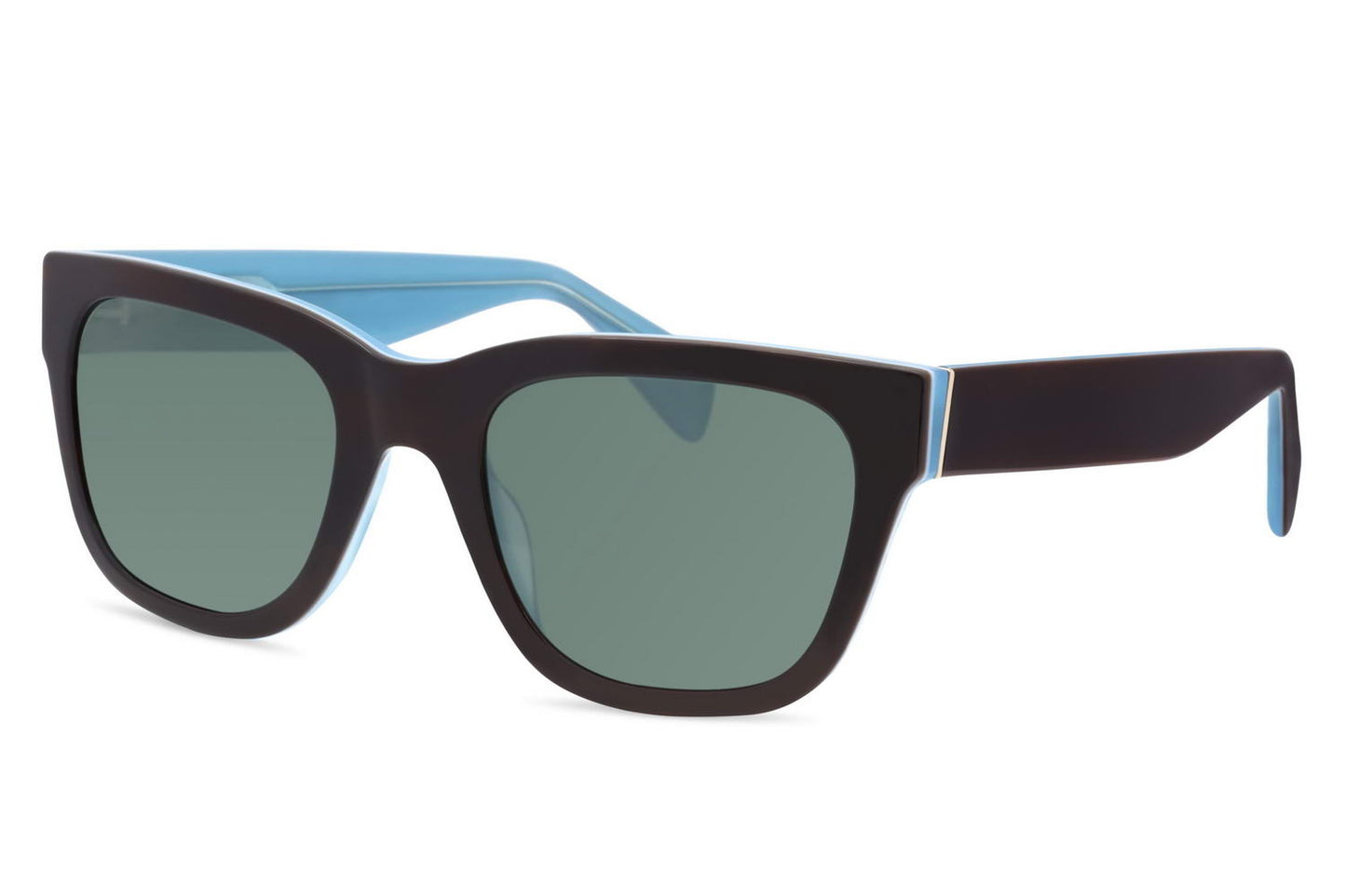 lightweight and durable wayfarer sunglasses with black & blue frames