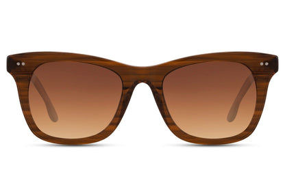 european cool shades with brown acetate frame.