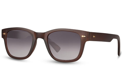 brown frame smokey lens shades perfect look for oslo beach parties giving men & women classy and chic look