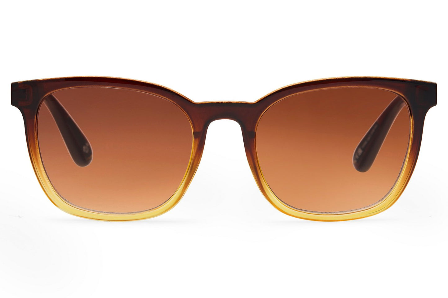 minimal design brown wayfarer shades for women