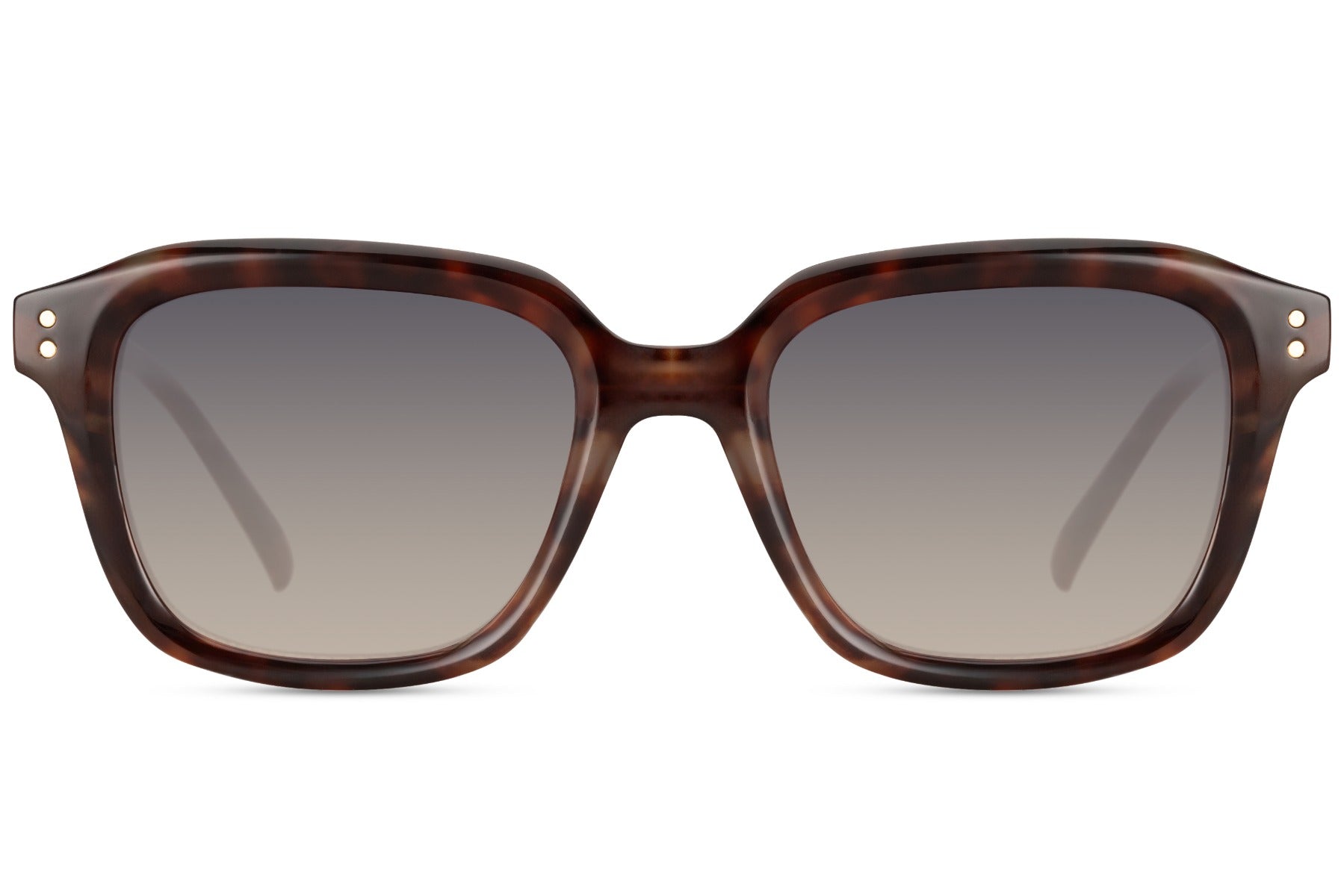 brown tortoiseshell frame sunglass for men and women 