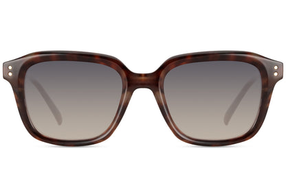 brown tortoiseshell frame sunglass for men and women 