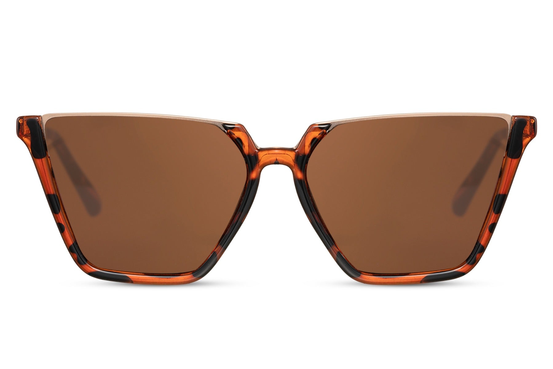 Oversized cat eye sunglasses with brown leopard print frame and tinted lenses